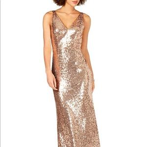 Nightway Sequined V-Neck Dress in Champagne